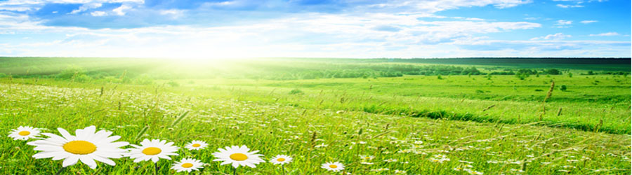 Live Green Style: Environmental Literacy Workshops